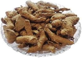 Bitter Ginger (Narkachur)
