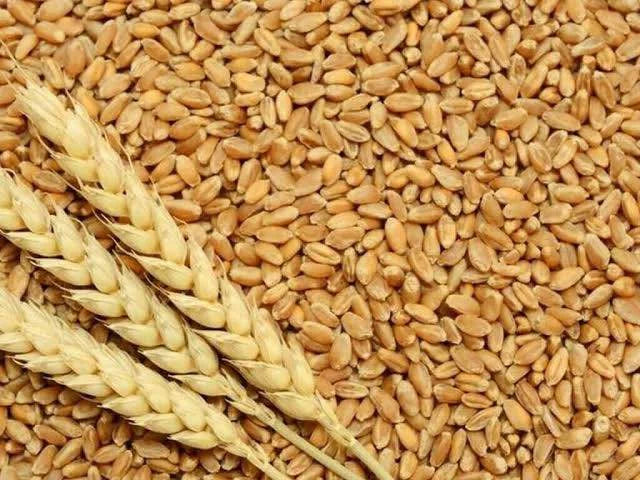 Barley (Joo)