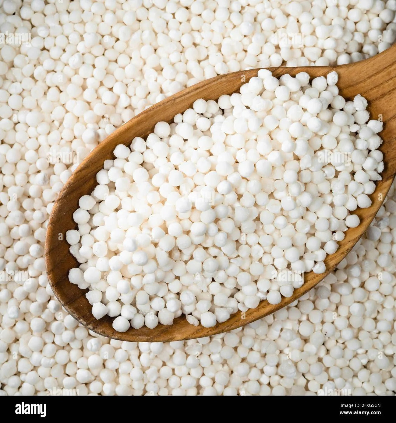 Sabudana (Sago Dana)
