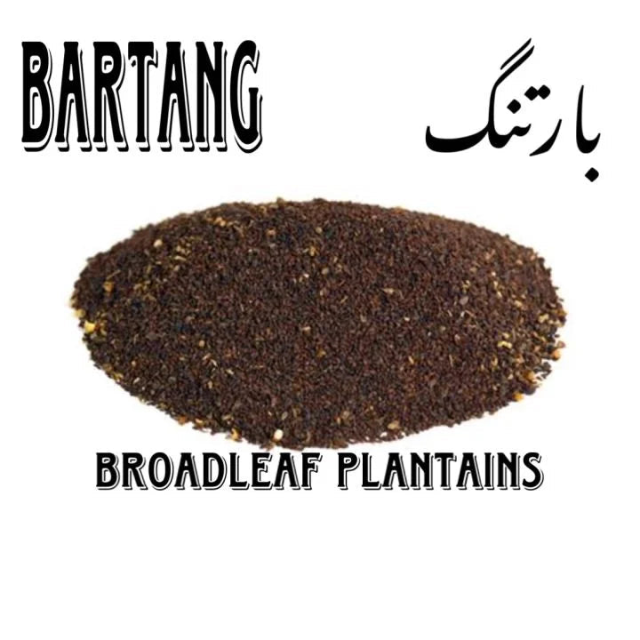 Bartang