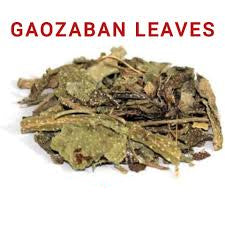 Borage (Gao Zaban) – Borago officinalis