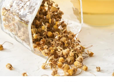 Gul e Babona (Chamomile Flowers)