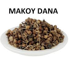 Black Nightshade (Makoh dana)