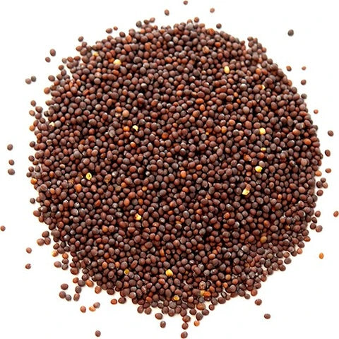 Black Mustard Seeds (Rai)